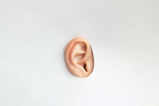 a picture of an ear